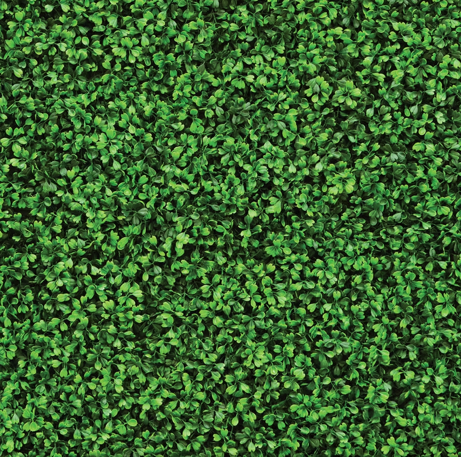 Hedge